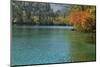 Panda Lake, Jiuzhaigou National Park, UNESCO World Heritage Site, Sichuan Province, China, Asia-G & M Therin-Weise-Mounted Photographic Print