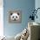 Panda Low Poly Portrait-kakmyc-Framed Stretched Canvas displayed on a wall