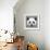 Panda Low Poly Portrait-kakmyc-Framed Art Print displayed on a wall