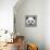 Panda Low Poly Portrait-kakmyc-Mounted Art Print displayed on a wall