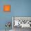 Panda on Orange-Lisa Kroll-Framed Stretched Canvas displayed on a wall