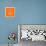 Panda on Orange-Lisa Kroll-Framed Stretched Canvas displayed on a wall