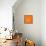 Panda on Orange-Lisa Kroll-Framed Stretched Canvas displayed on a wall