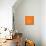 Panda on Orange-Lisa Kroll-Mounted Art Print displayed on a wall