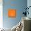 Panda on Orange-Lisa Kroll-Mounted Art Print displayed on a wall