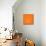 Panda on Orange-Lisa Kroll-Mounted Art Print displayed on a wall