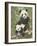 Panda Paradise-William Vanderdasson-Framed Giclee Print