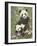 Panda Paradise-William Vanderdasson-Framed Giclee Print