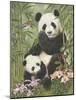 Panda Paradise-William Vanderdasson-Mounted Giclee Print