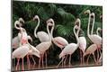 Photographic Print