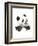 Panda-Philippe Debongnie-Framed Art Print