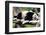 Panda-Oleg Znamenskiy-Framed Photographic Print