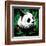 Panda-null-Framed Art Print