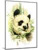 Panda-Tim Knepp-Mounted Giclee Print