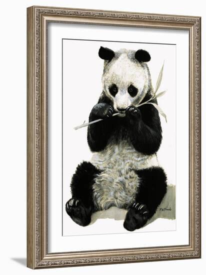 Panda-R. B. Davis-Framed Giclee Print