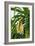 Pandan (Pandanus Amaryllifolius)-Matthew Oldfield-Framed Photographic Print