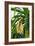 Pandan (Pandanus Amaryllifolius)-Matthew Oldfield-Framed Photographic Print