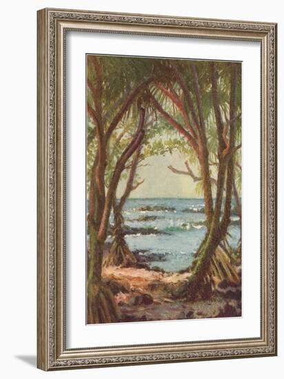 Pandanus Forest on Shore, Hawaii-null-Framed Art Print