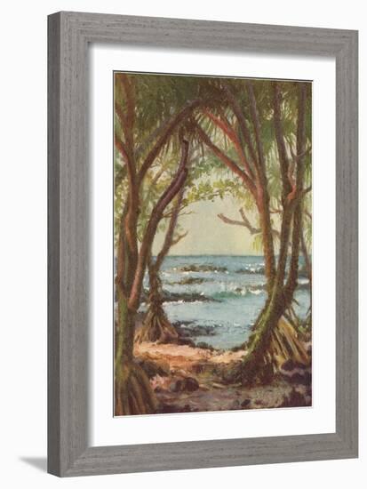 Pandanus Forest on Shore, Hawaii-null-Framed Art Print