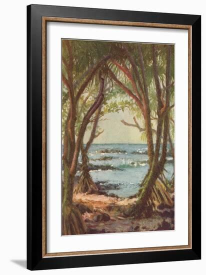 Pandanus Forest on Shore, Hawaii-null-Framed Art Print