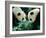 Pandas Eating Bamboo, Wolong, Sichuan, China-Keren Su-Framed Photographic Print