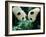 Pandas Eating Bamboo, Wolong, Sichuan, China-Keren Su-Framed Photographic Print