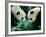 Pandas Eating Bamboo, Wolong, Sichuan, China-Keren Su-Framed Photographic Print