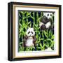 Pandas with Bamboo-tanycya-Framed Art Print