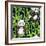 Pandas with Bamboo-tanycya-Framed Premium Giclee Print