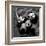 Pandas-Danita Delimont-Framed Art Print