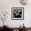 Pandas-Danita Delimont-Framed Art Print displayed on a wall