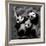 Pandas-Danita Delimont-Framed Art Print