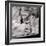 Pane e Vino #1-Alan Blaustein-Framed Photographic Print