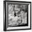 Pane e Vino I-Alan Blaustein-Framed Photographic Print