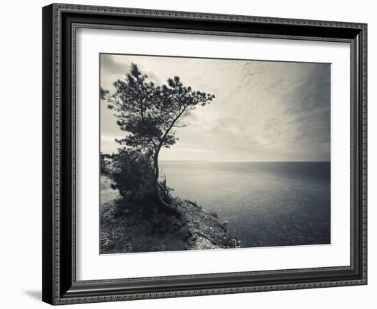 Panga Cliff, Kuressaare, Saaremaa Island, Estonia-null-Framed Photographic Print