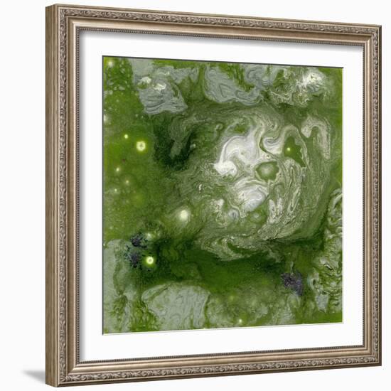 Pangaea II-Alicia Ludwig-Framed Art Print