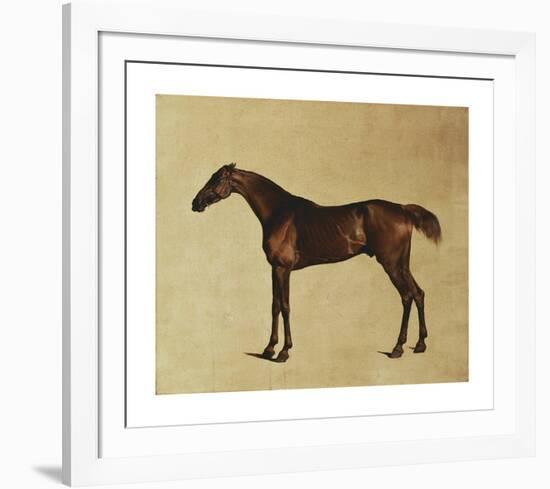 Pangloss-George Stubbs-Framed Premium Giclee Print