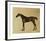 Pangloss-George Stubbs-Framed Premium Giclee Print