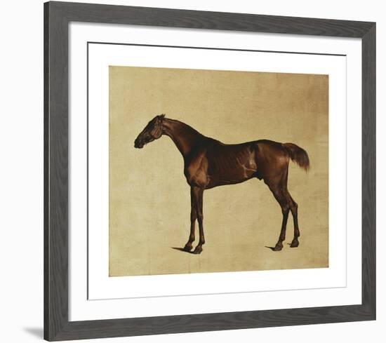 Pangloss-George Stubbs-Framed Premium Giclee Print