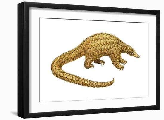 Pangolin (Manis Gigantea), Mammals-Encyclopaedia Britannica-Framed Art Print