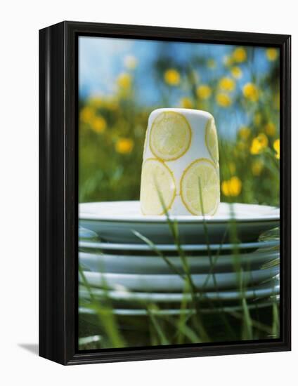 Panna Cotta Al Limone (Panna Cotta with Slices of Lemon)-Alena Hrbkova-Framed Premier Image Canvas