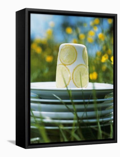 Panna Cotta Al Limone (Panna Cotta with Slices of Lemon)-Alena Hrbkova-Framed Premier Image Canvas