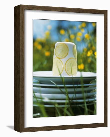 Panna Cotta Al Limone (Panna Cotta with Slices of Lemon)-Alena Hrbkova-Framed Photographic Print