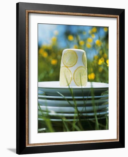 Panna Cotta Al Limone (Panna Cotta with Slices of Lemon)-Alena Hrbkova-Framed Photographic Print