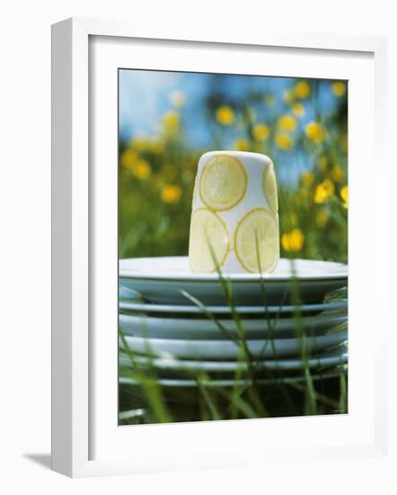 Panna Cotta Al Limone (Panna Cotta with Slices of Lemon)-Alena Hrbkova-Framed Photographic Print