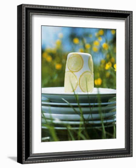 Panna Cotta Al Limone (Panna Cotta with Slices of Lemon)-Alena Hrbkova-Framed Photographic Print