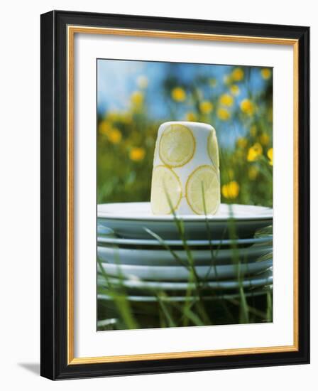 Panna Cotta Al Limone (Panna Cotta with Slices of Lemon)-Alena Hrbkova-Framed Photographic Print