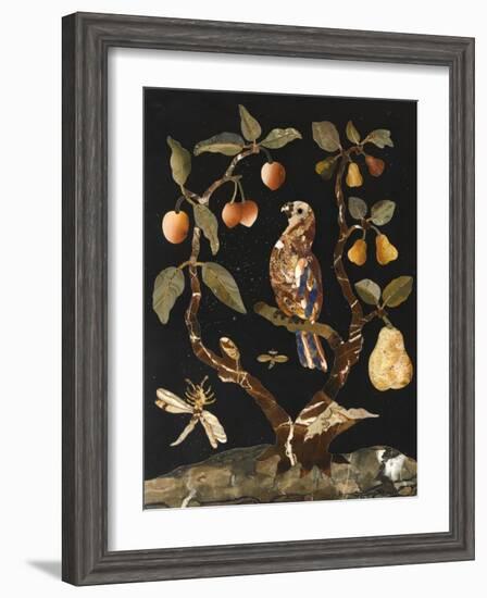 Panneau : Fruits et oiseaux-null-Framed Giclee Print