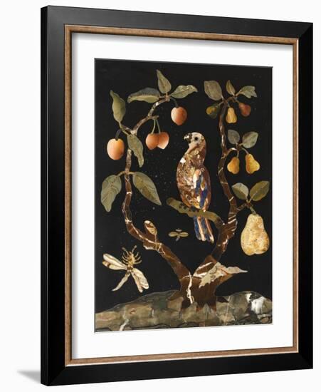 Panneau : Fruits et oiseaux-null-Framed Giclee Print