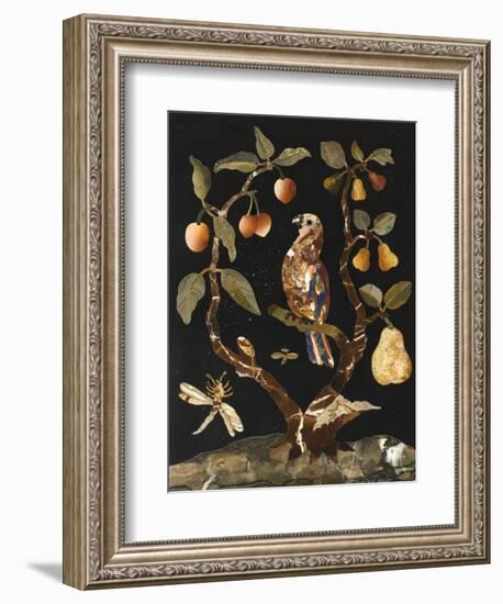 Panneau : Fruits et oiseaux-null-Framed Giclee Print